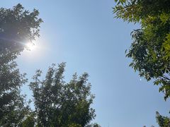 -西青郊野公园