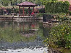 -嘉定紫藤园