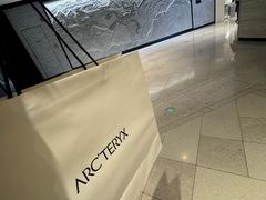 -ARC'TERYX始祖鸟(北京王府中环店)