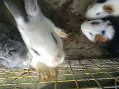 -青瓦房古村落