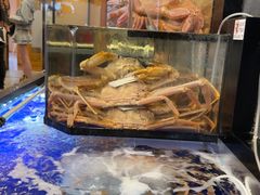 -蟹道乐(道顿堀本店)