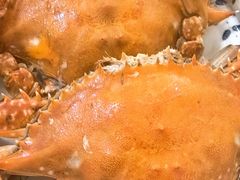 -北塘海鲜·天津菜·鲅鱼水饺是一绝(大光明桥旗舰店)
