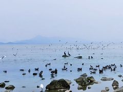 -大梅沙海滨公园