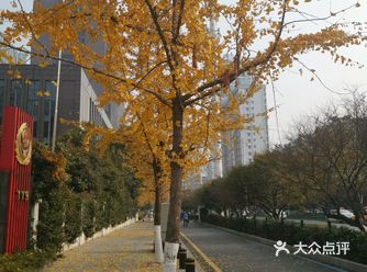 不是汉街正街      但也离得不远  我就是走到的