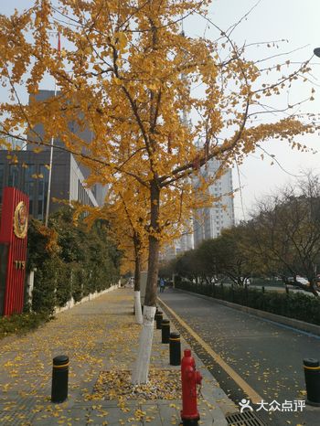 不是汉街正街      但也离得不远  我就是走到的
