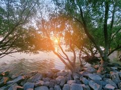 -宝安西湾红树林湿地公园