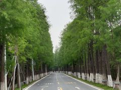 外景-鹿福农庄(南沙天后宫店)