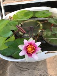 -scarlet斯卡莱美容护理机构