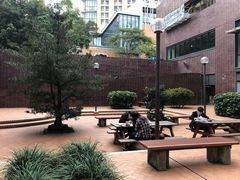 -香港大学