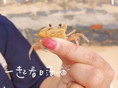 -白沙滩