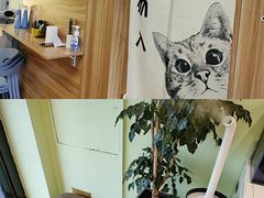 -猫十亿·布偶金渐层·曼基康矮脚猫舍(青年路店)