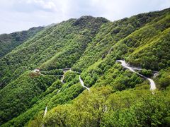 -白草畔自然风景区