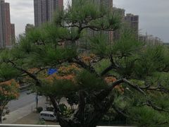-天堂鸟快捷酒店(泰州大学城店)