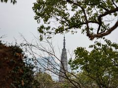 -宝石山