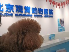 -北京观赏动物医院·24小时大型综合·猫专科·异宠专科