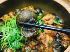 招牌必点-田螺鸡煲-食爺炭炉鸡煲·烧烤