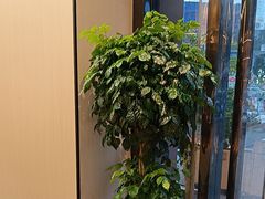 -老砂锅(城北店)