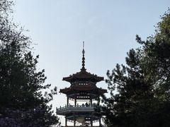 -龙沙公园