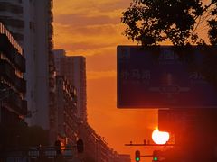 -新华阿喜烧烤(嘉泰雅园店)