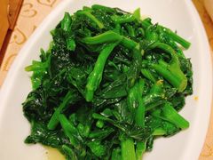 清炒菜尖-大鸭梨烤鸭(左家庄店)