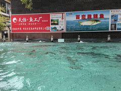 -天怡·鱼工厂(梅溪湖店)