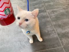 -星巴克臻选(连云港苏宁广场店)
