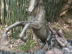 -铁山坪森林公园