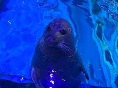 -海合安青岛极地海洋公园