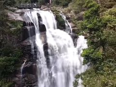-海南热带雨林国家公园吊罗山景区