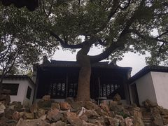 -惠山古镇·寄畅园