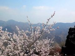 -北京上方山国家森林公园