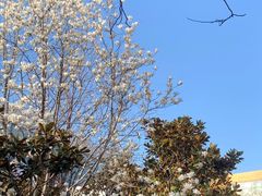 -中国石油大学（北京）(西校区)