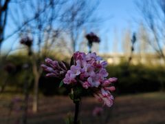 -北极寺公园