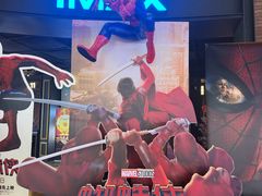 -CGV影城(壹方城IMAX店)