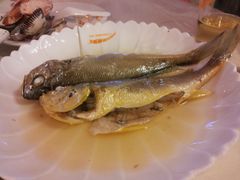 小黄鱼-沈家门海鲜夜排档(东港店)