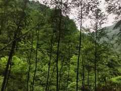 -龙窝子