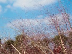 -映月湖中央公园