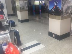 -平湖站
