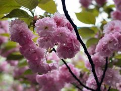 -上海市保健医疗中心