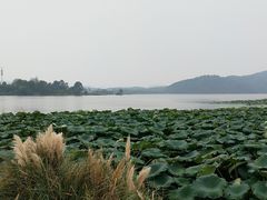-东湖落雁景区