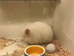 -龙猫仔乐园(惠福东路店)