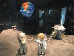 -济州岛泰迪熊博物馆