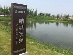 -洪湖湿地生态园