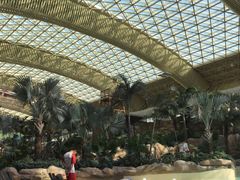 -杭州开元森泊度假乐园