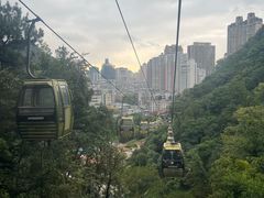 -黔灵山公园