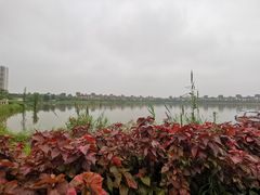 -美的鹭湖森林度假区