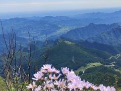 -白草畔自然风景区