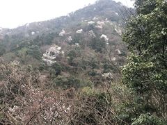 -宁波五龙潭景区