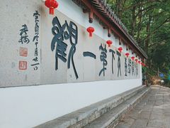 -严子陵钓台(富春江小三峡)