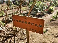 -苍山感通索道